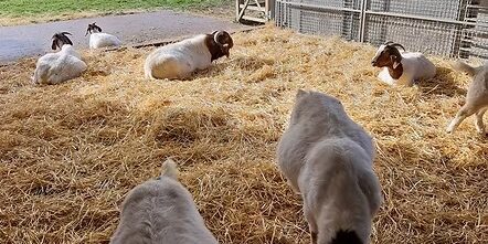 Saturday, 25th February 2023-001