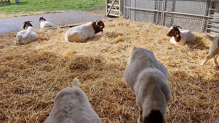 Saturday, 25th February 2023 - The Goat Shed, Honingham